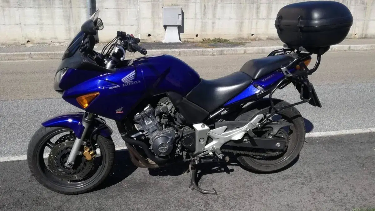 Honda CBF 600 ABS (2004 - 06)  (5)