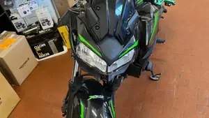 Kawasaki Z 650 Urban (2021 - 24)  (6)