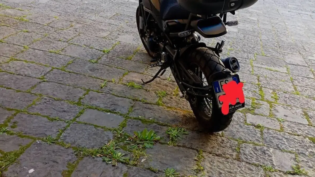 Benelli Leoncino 500 Trail ABS (2017 - 20)  (3)