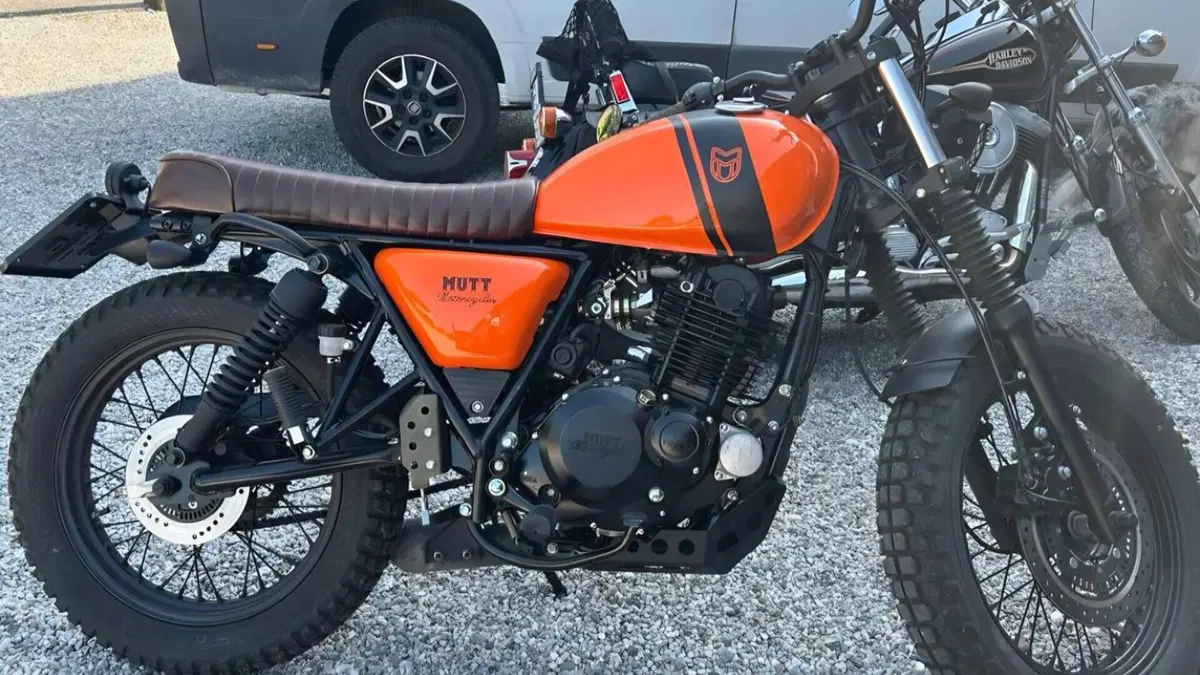 Mutt Motorcycles Fat Sabbath 250 (2021 - 23)  (7)