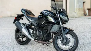 Kawasaki Z 500 (2024 - 26)  (3)