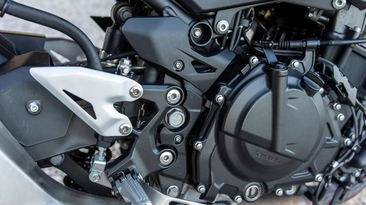 Kawasaki Z 500 (2024 - 26)  (7)