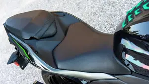 Kawasaki Z 500 (2024 - 26)  (8)