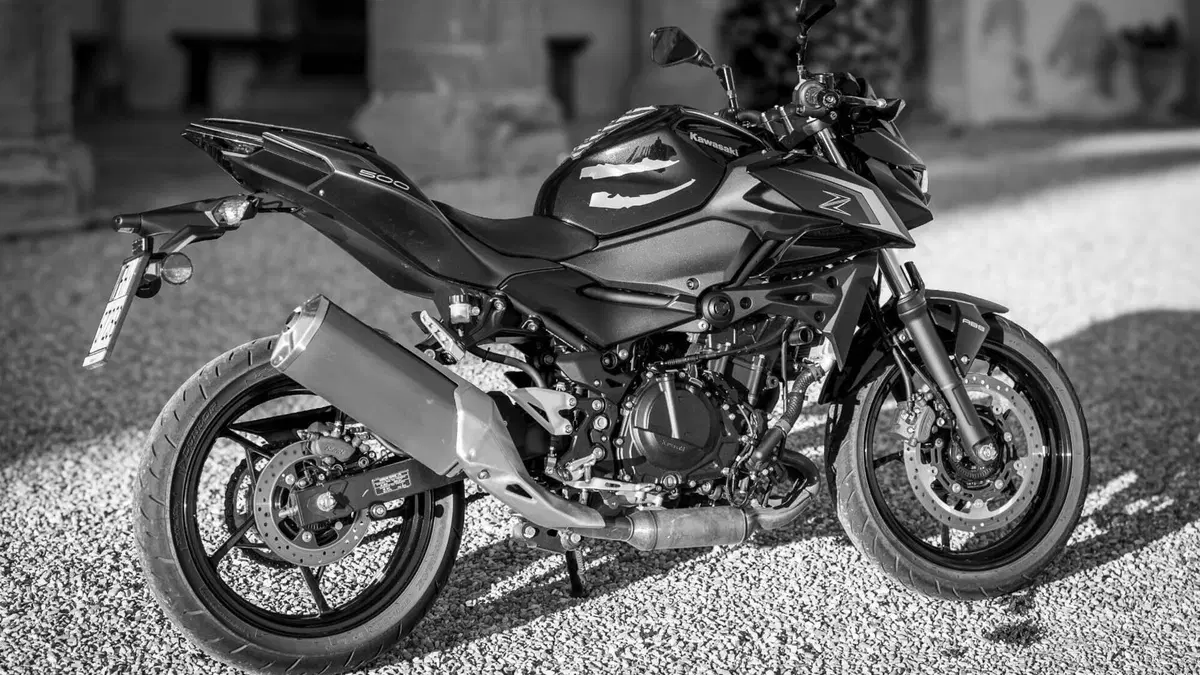 Kawasaki Z 500 (2024 - 26)  (10)