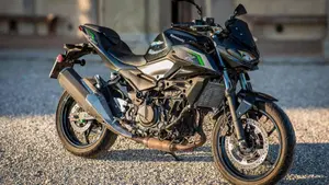 Kawasaki Z 500 (2024 - 26) 
