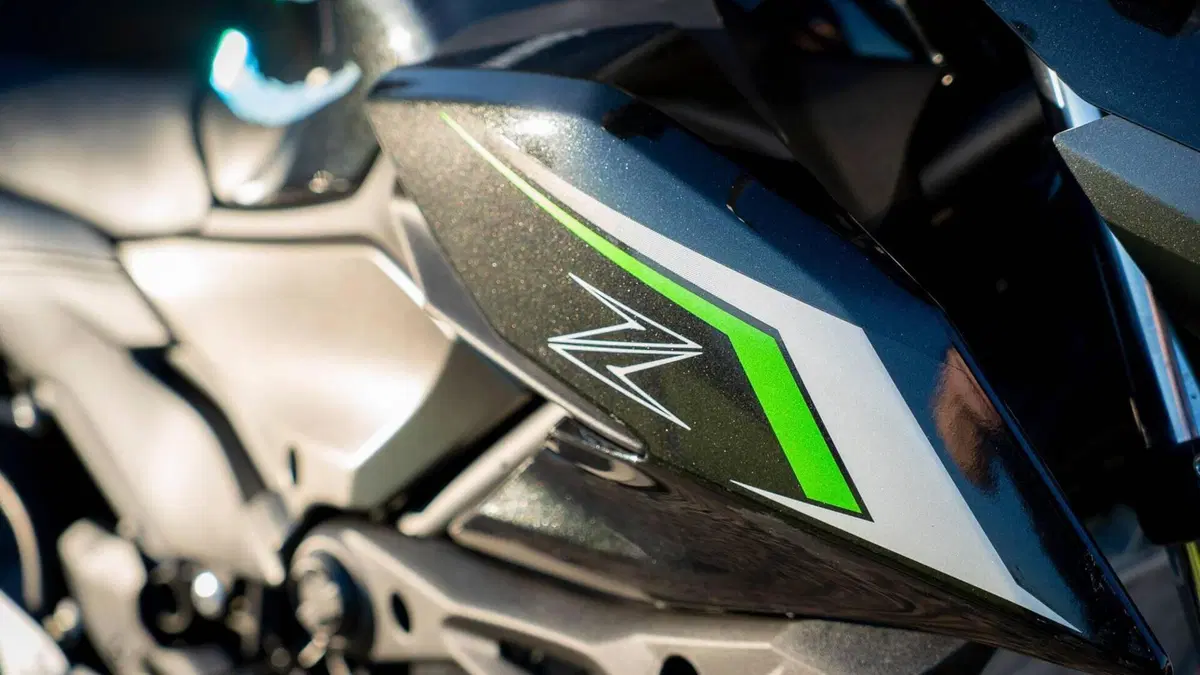 Kawasaki Z 500 (2024 - 26)  (11)