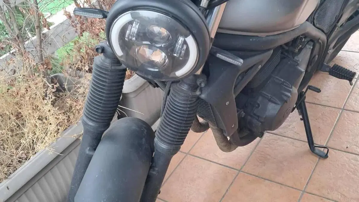 Kawasaki ER-5 500 (2001 - 06)  (3)