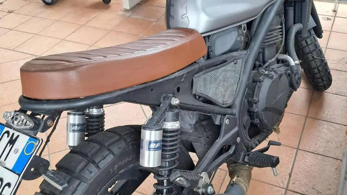 Kawasaki ER-5 500 (2001 - 06)  (2)