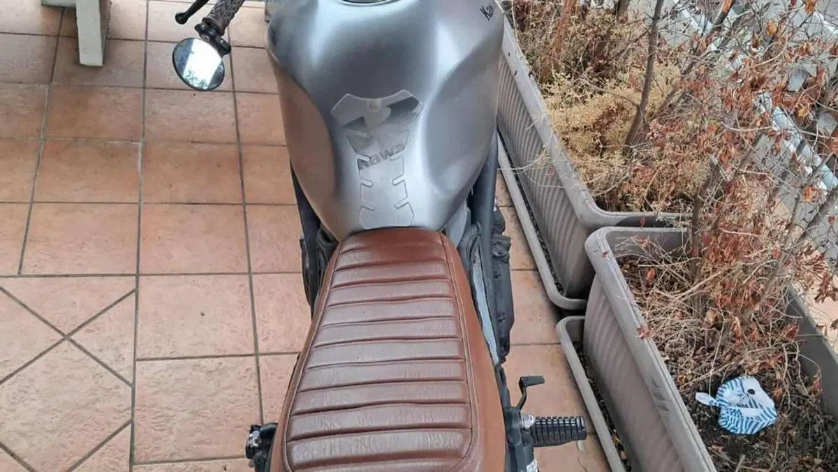 Kawasaki ER-5 500 (2001 - 06)  (4)