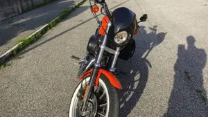 Harley-Davidson 883 R (2004 - 05) - XL 883R  (4)