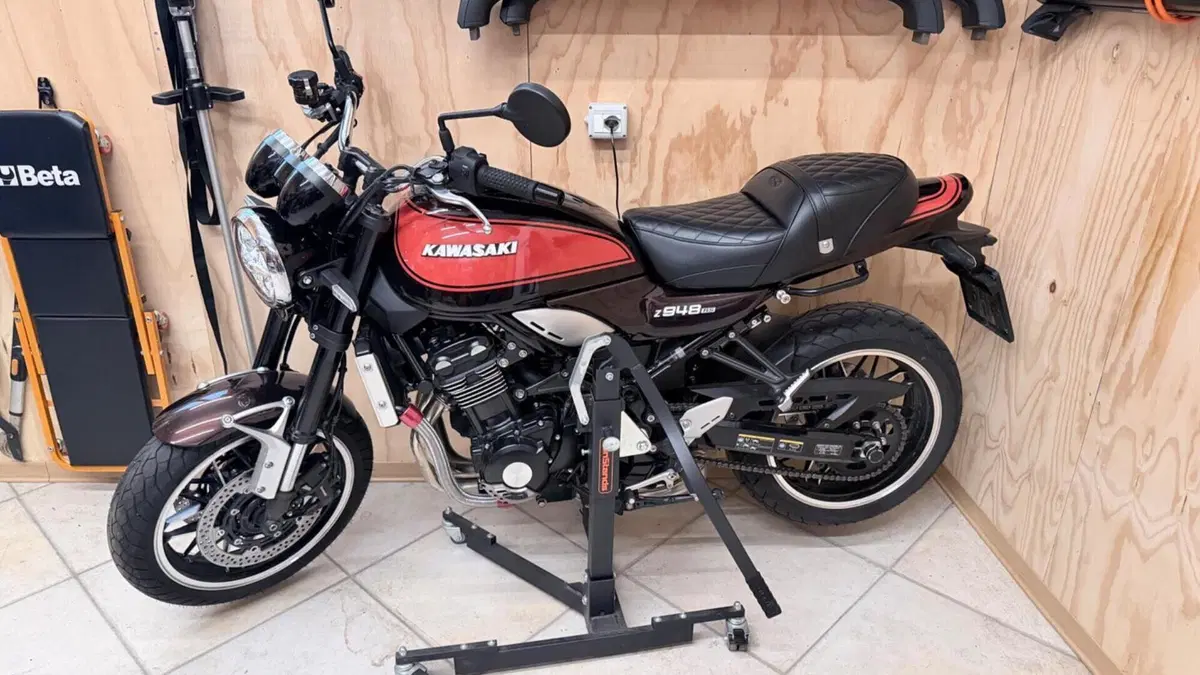 Kawasaki Z 900 RS (2018 - 20)  (7)