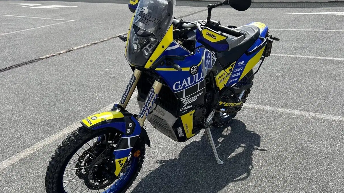 Yamaha Ténéré 700 (2019 - 20)  (7)