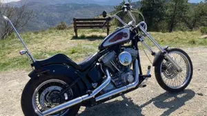 Harley-Davidson 1450 Standard (2002 - 05) - FXSTI  (2)