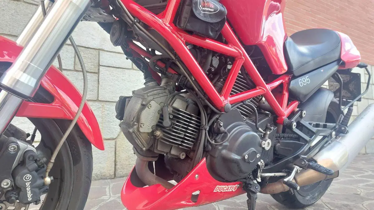 Ducati Monster 695 (2006 - 08)  (12)
