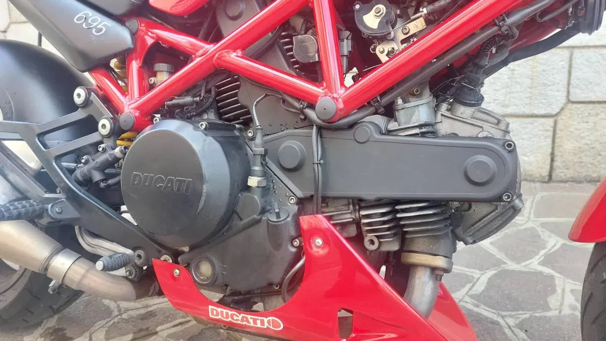 Ducati Monster 695 (2006 - 08)  (15)