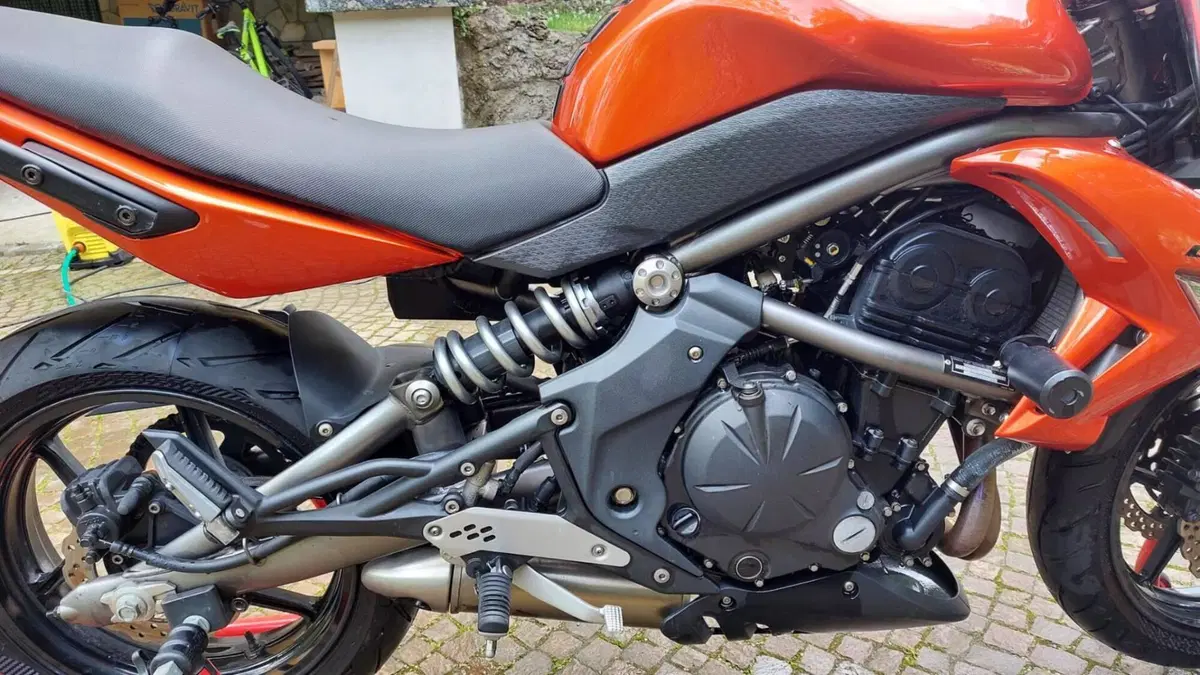 Kawasaki ER-6N (2006 - 09)  (4)