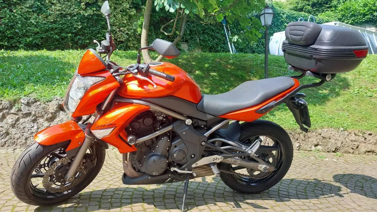 Kawasaki ER-6N (2006 - 09)  (7)