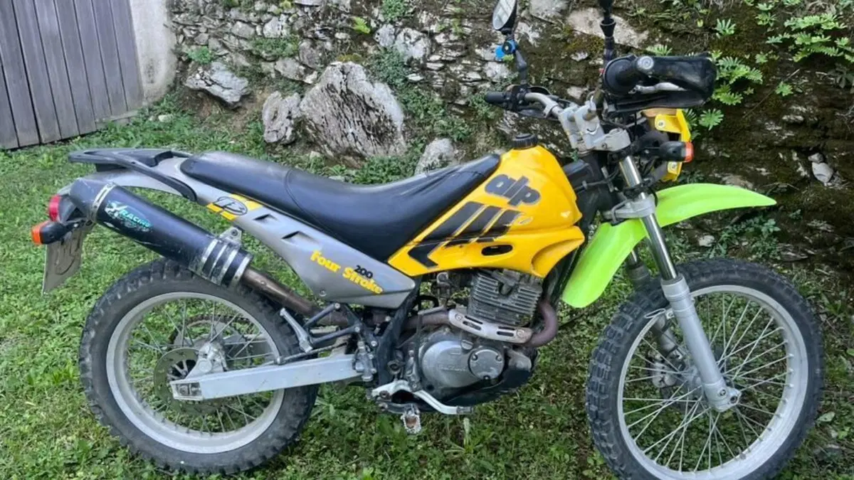 Betamotor Alp 200 4T (1999 - 06)  (5)
