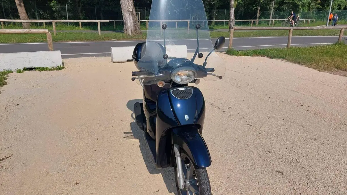 Aprilia Scarabeo 50 4t (2009 - 12)  (2)