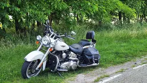 Harley-Davidson 1690 Deluxe ABS (2011 - 16) - FLSTN  (11)