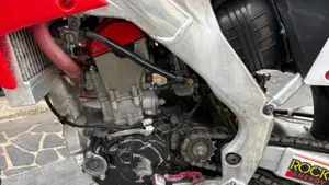 Honda CRF 250R (2010 - 11)  (3)