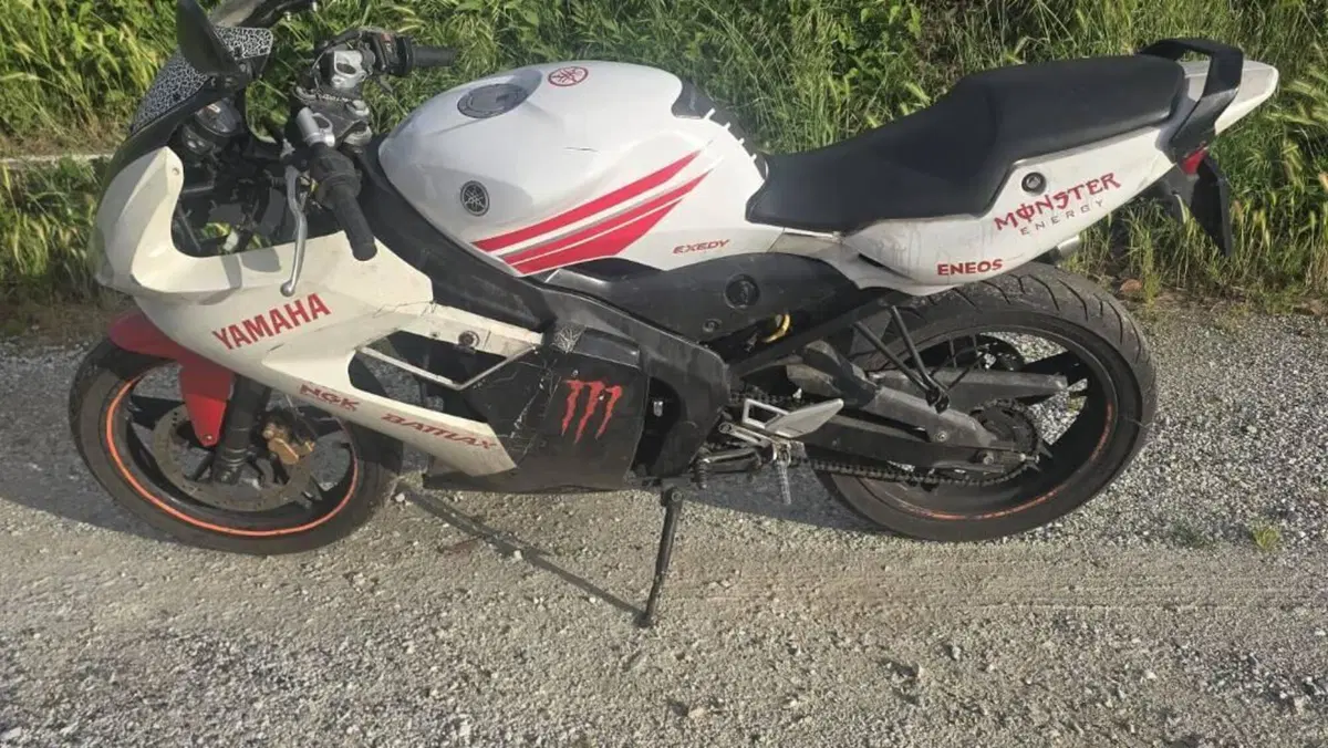 Yamaha TZR 50 (2004 - 19) 