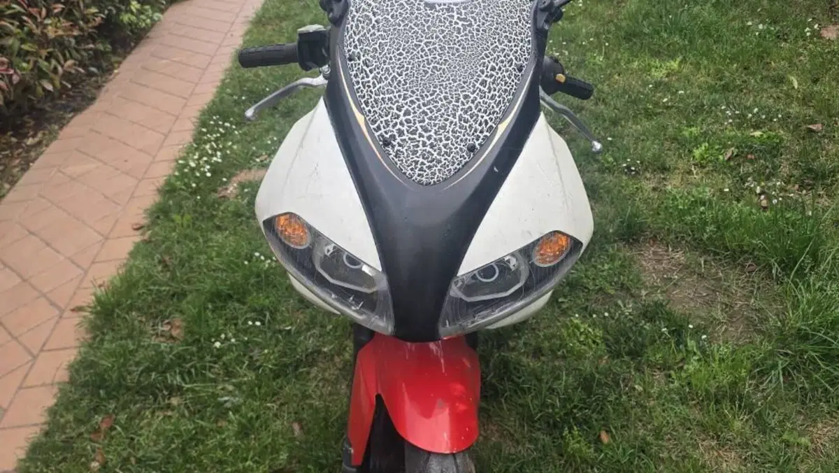 Yamaha TZR 50 (2004 - 19)  (5)