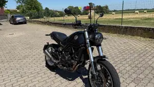 Benelli Leoncino 500 Trail (2021 - 26) 