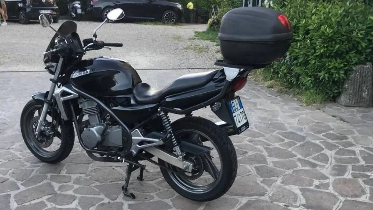 Kawasaki ER-5 500 (2001 - 06)  (3)