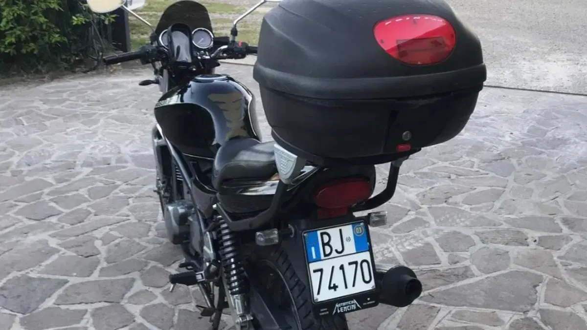 Kawasaki ER-5 500 (2001 - 06)  (5)