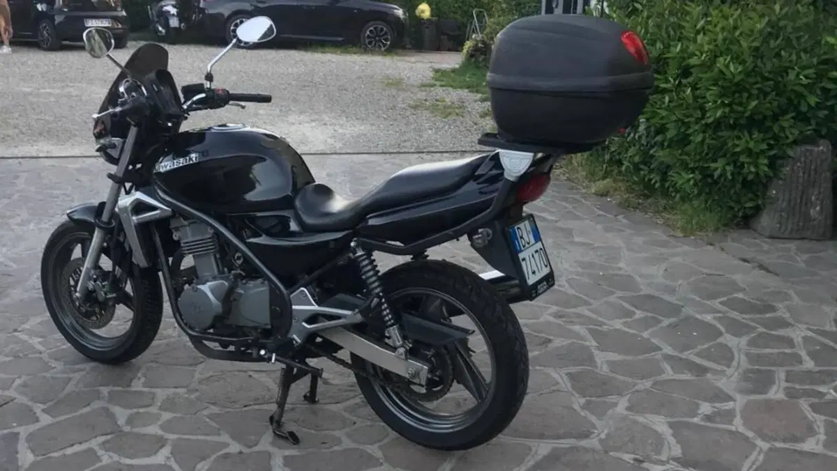 Kawasaki ER-5 500 (2001 - 06)  (6)