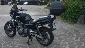 Kawasaki ER-5 500 (2001 - 06)  (6)