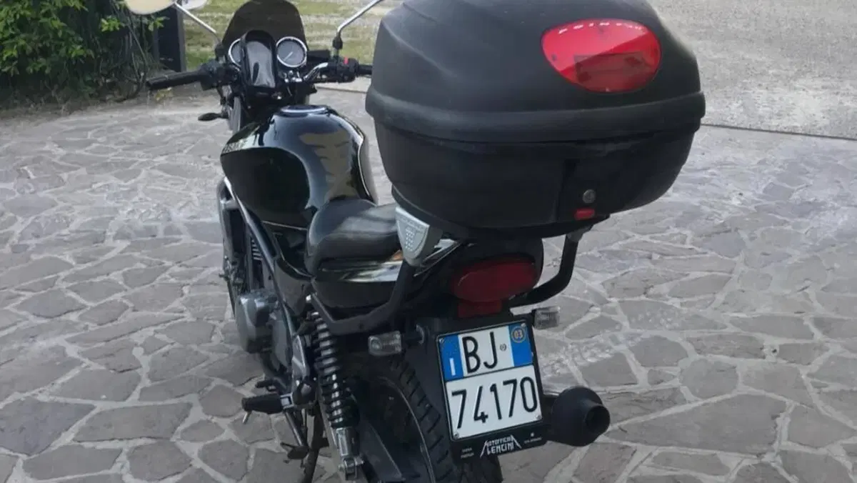 Kawasaki ER-5 500 (2001 - 06)  (7)