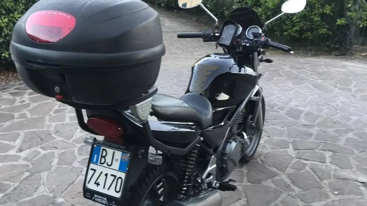 Kawasaki ER-5 500 (2001 - 06)  (8)