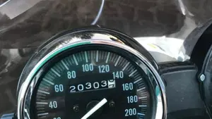 Kawasaki ER-5 500 (2001 - 06)  (9)