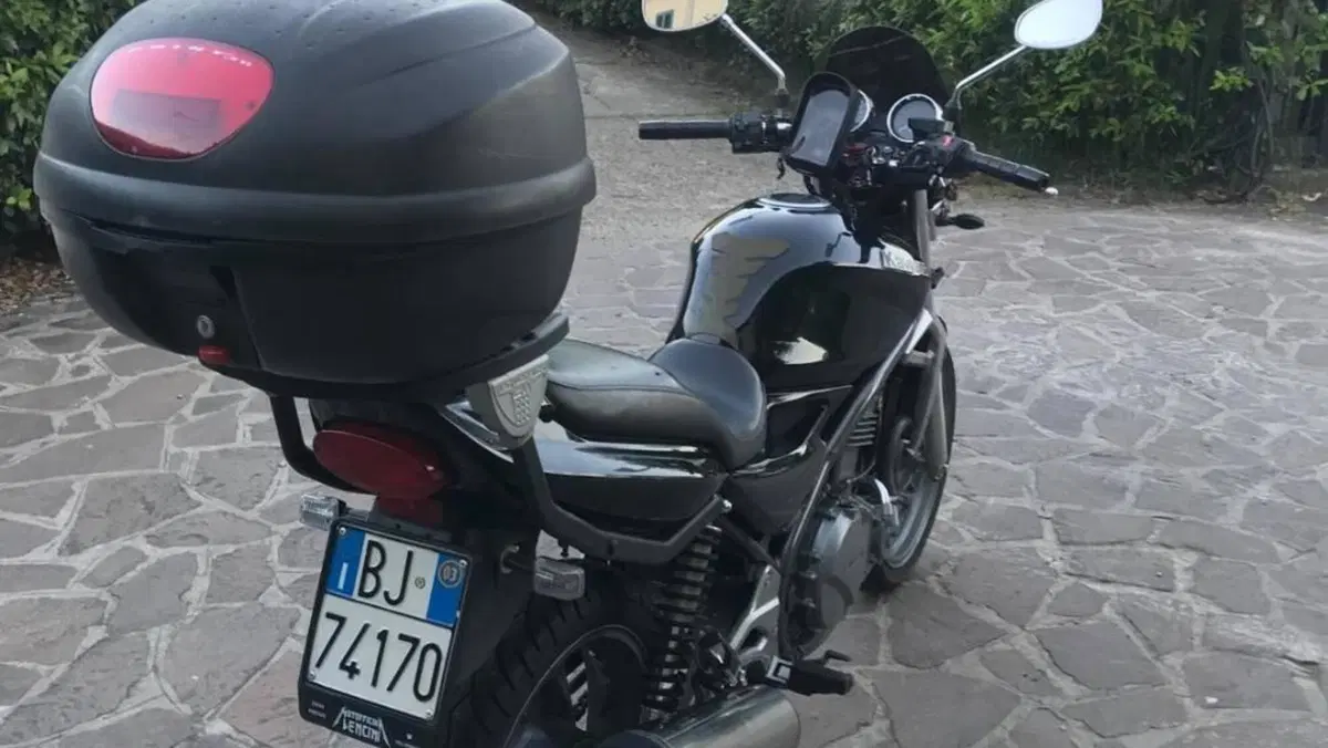 Kawasaki ER-5 500 (2001 - 06)  (10)