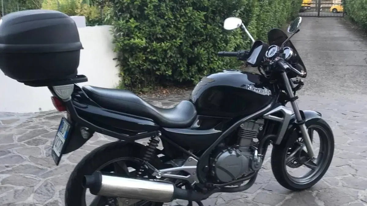 Kawasaki ER-5 500 (2001 - 06)  (11)