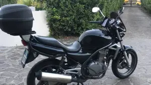 Kawasaki ER-5 500 (2001 - 06)  (11)
