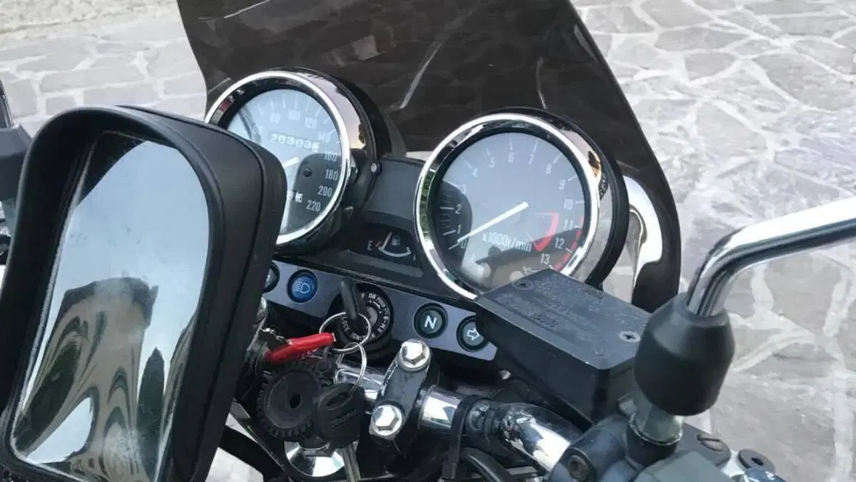 Kawasaki ER-5 500 (2001 - 06)  (12)
