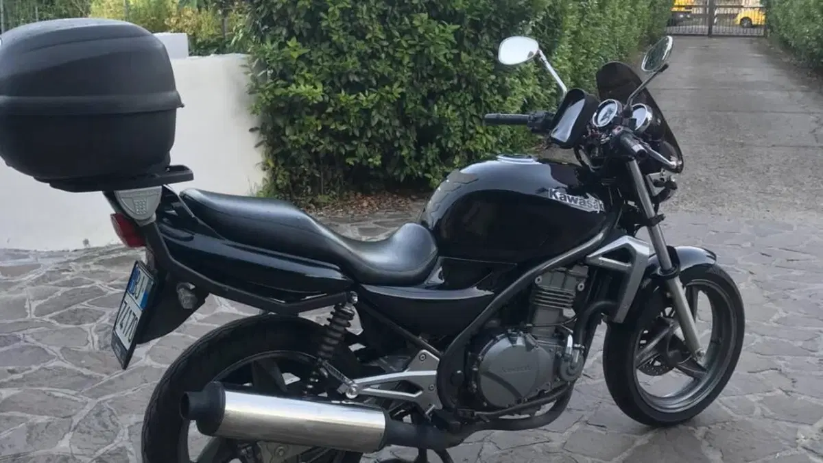 Kawasaki ER-5 500 (2001 - 06)  (13)