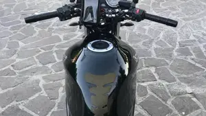 Kawasaki ER-5 500 (2001 - 06)  (14)