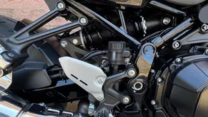 Kawasaki Z 900 RS (2022 - 25)  (8)