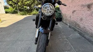 Kawasaki Z 900 RS (2022 - 25)  (16)