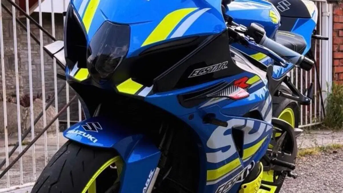 Suzuki GSX-R1000 (2017 - 18) 