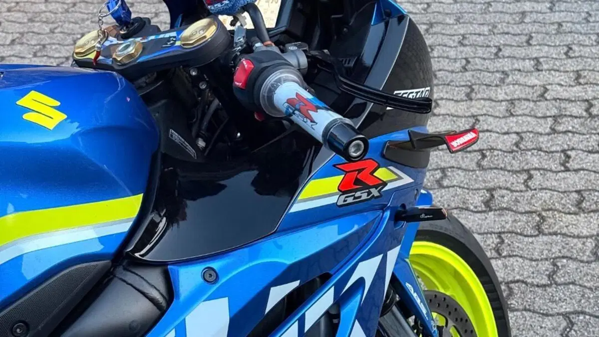 Suzuki GSX-R1000 (2017 - 18)  (5)