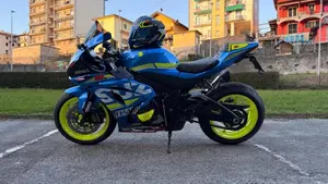 Suzuki GSX-R1000 (2017 - 18)  (7)