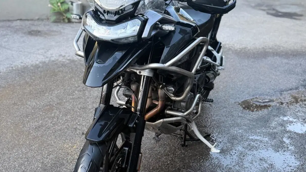 Triumph Tiger 1200 GT Pro (2022 - 23)  (2)