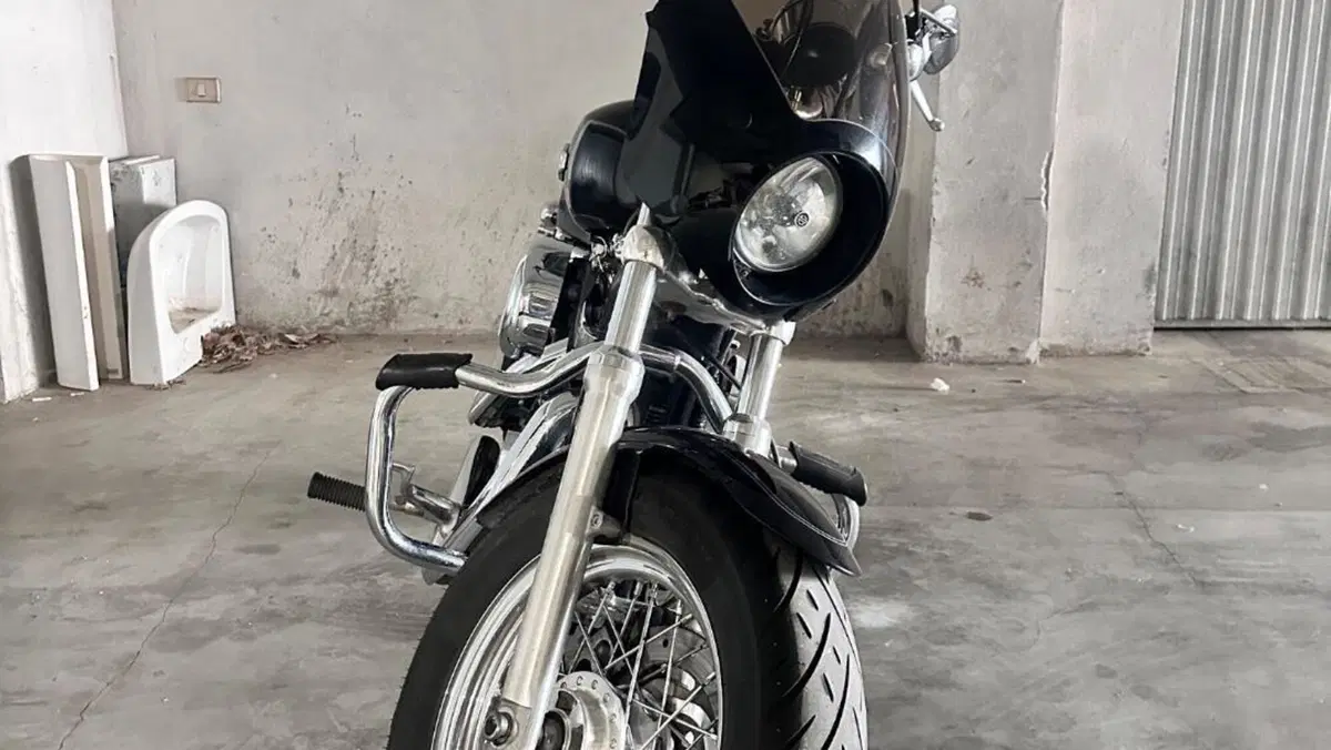 Harley-Davidson 1200 Custom (2007 - 13) - XL 1200C  (3)