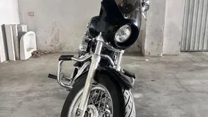 Harley-Davidson 1200 Custom (2007 - 13) - XL 1200C  (3)