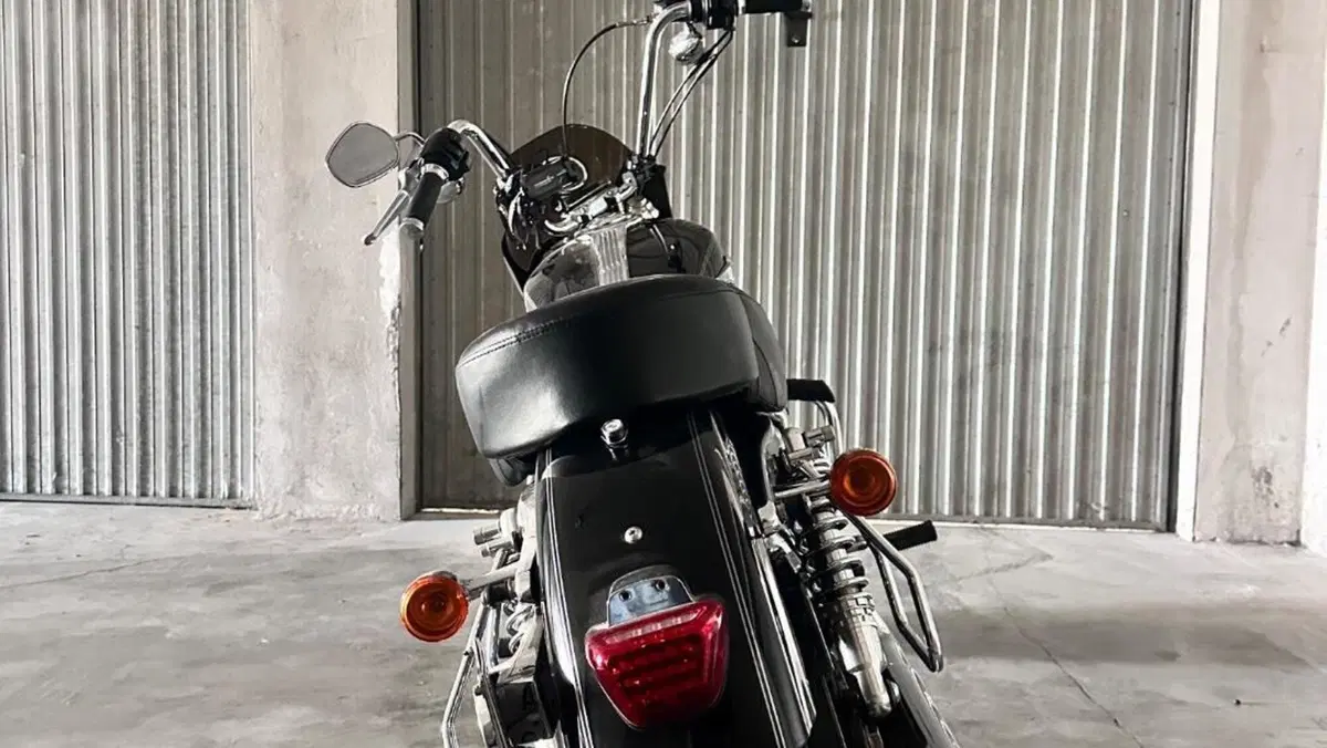 Harley-Davidson 1200 Custom (2007 - 13) - XL 1200C  (4)
